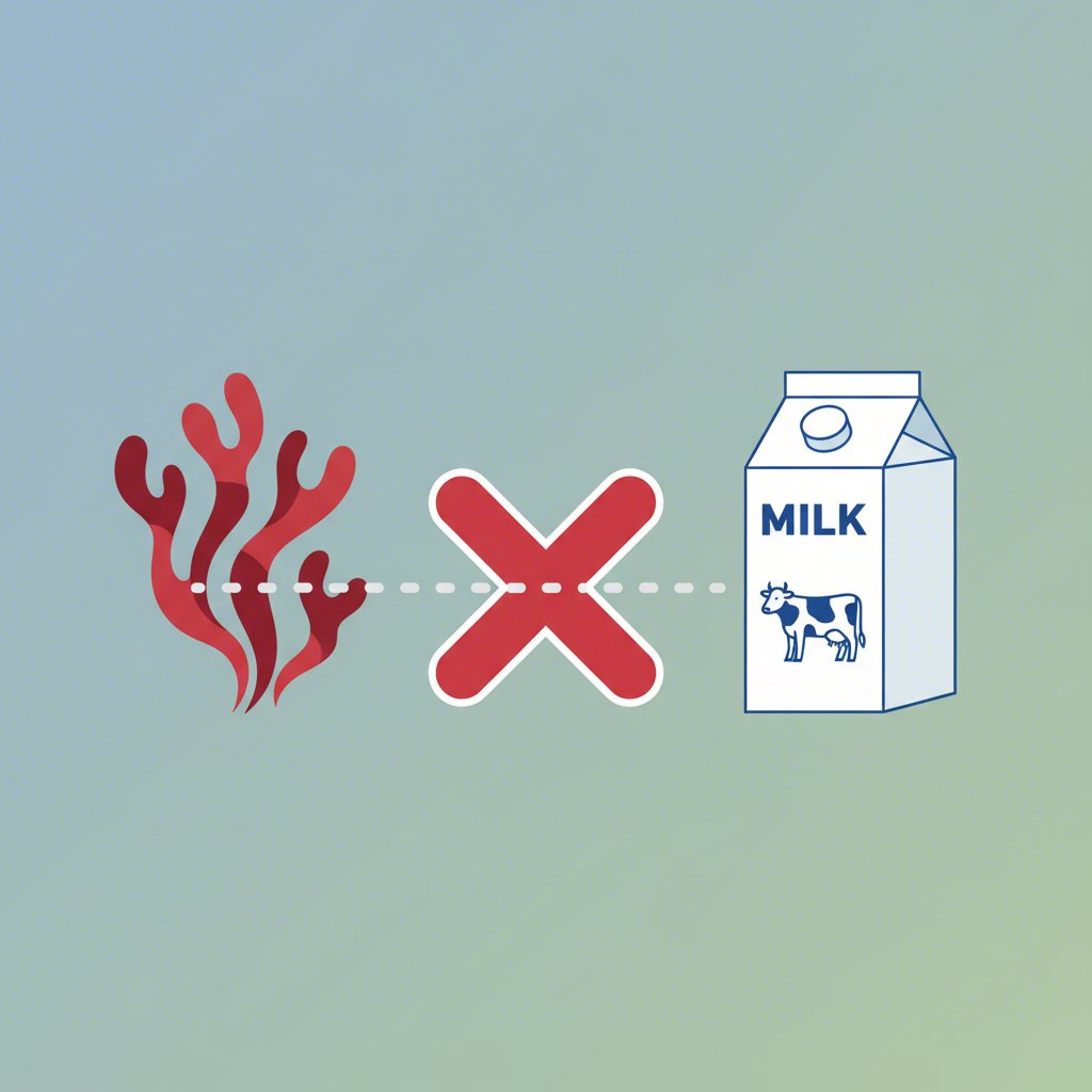 a visual concept explaining the role of carrageenan as a food additive from seaweed to avoid